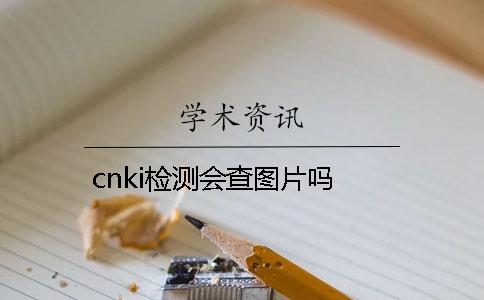 cnki检测会查图片吗？