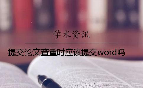 提交论文查重时应该提交word吗